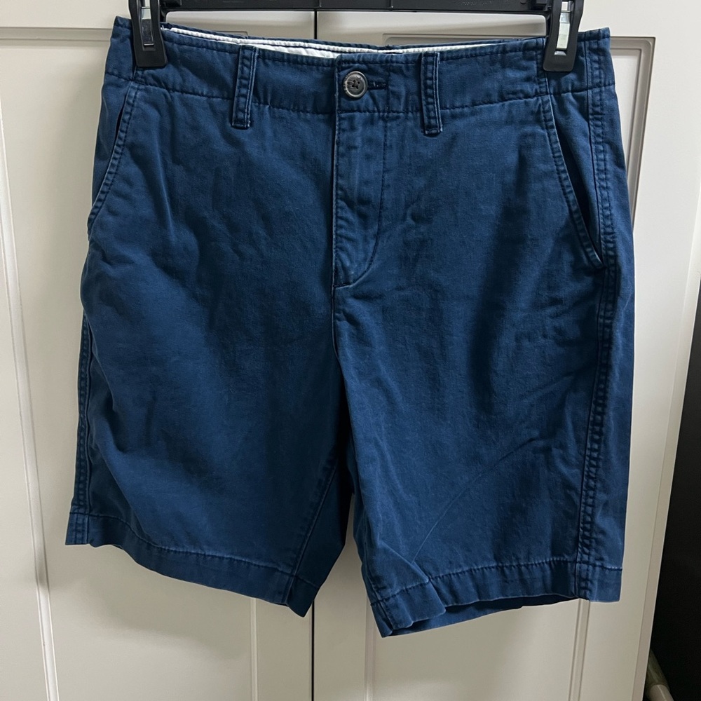 American Eagle Outfitters Blue Flat Front Shorts